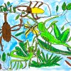 「森にすむこん虫たち」